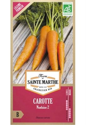 La carotte : grande star des légumes racines
