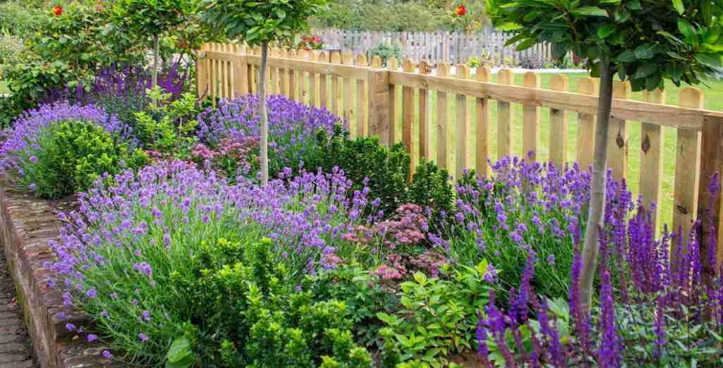 Bordures de jardin : créer des zones bien délimitées