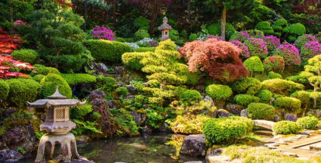 Jardin japonais : comment le réussir ? - Marie Claire
