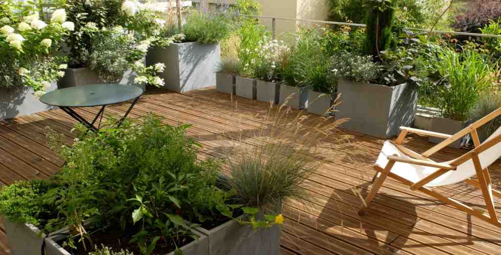 Je végétalise mon balcon à l'ombre à Paris, Leaderplant - Conseils Balcon  Terrasse