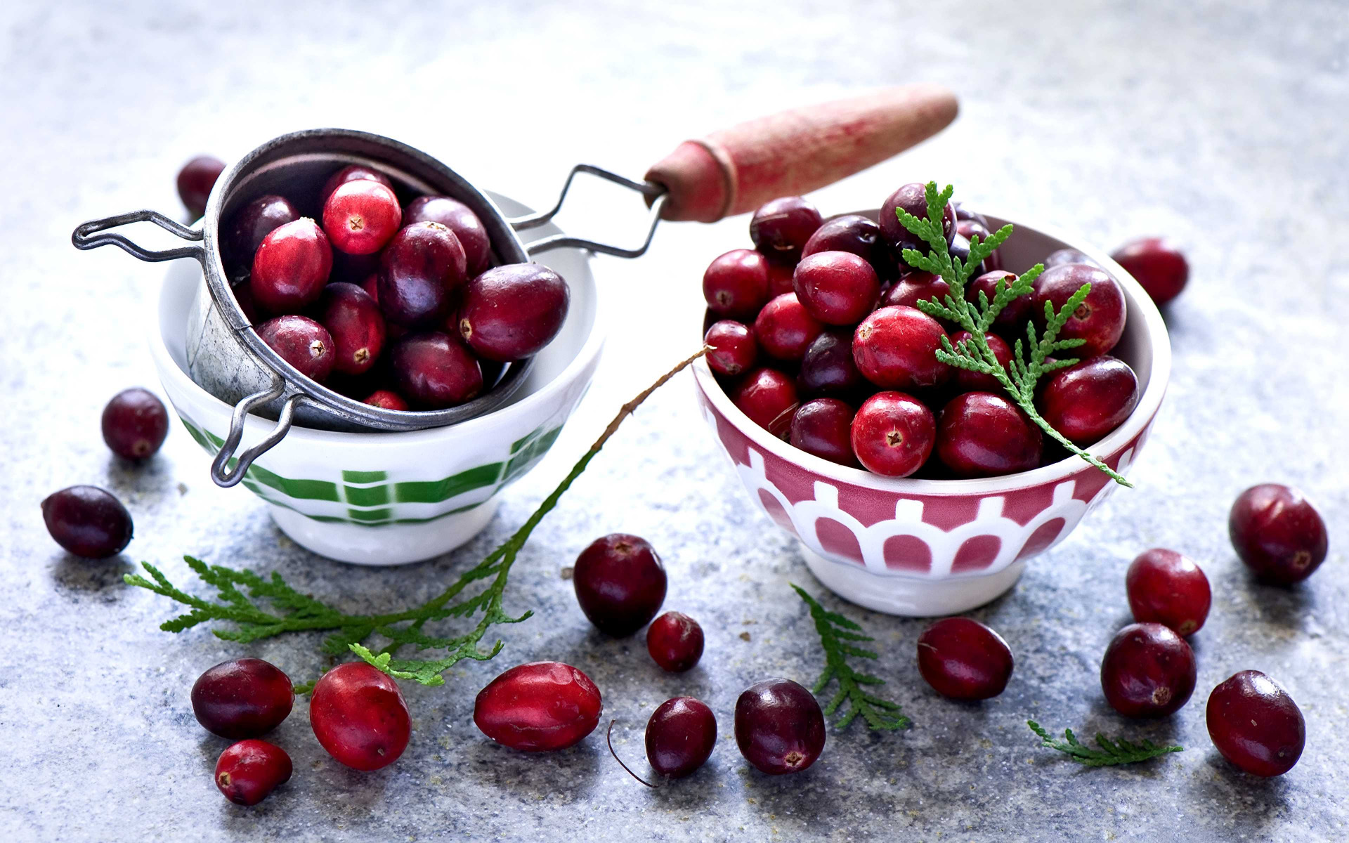 Cranberry - LES PETITS FRUITS CLASSIQUES - Fruitiers & Petits Fruits