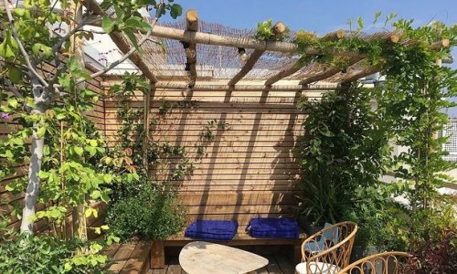 Je végétalise mon balcon à l'ombre à Paris, Leaderplant - Conseils Balcon  Terrasse